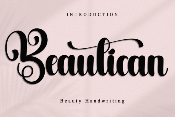Beautican: How a Script Font Transformed Our Campaign Visuals