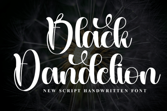 Black Dandelion: A Dramatic Script Font for Elegant Editorial Design