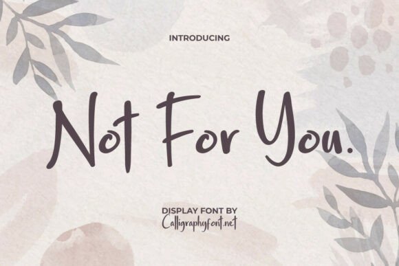 Not for You Font: A Designer’s Review for Campaign Visuals