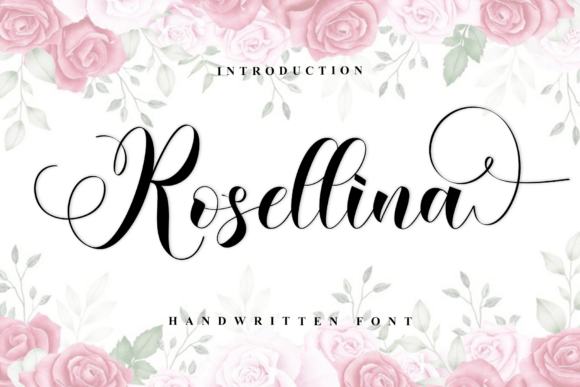 Rosellina: A Designer’s Take on Real-World Use